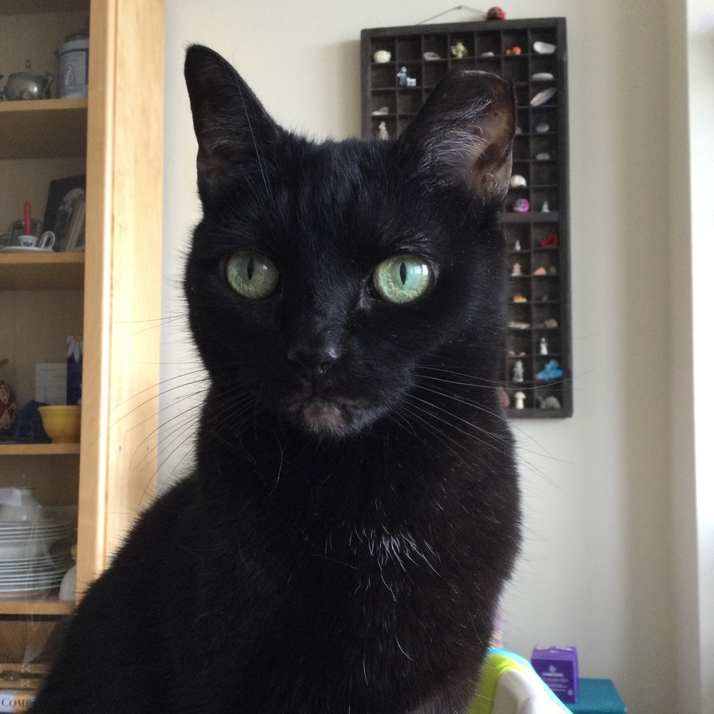 Meet your Posher, Marie